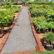 Garden Maintenance Services in Chennai
