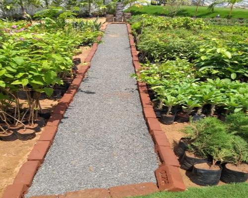 Garden Maintenance Services in Chennai 