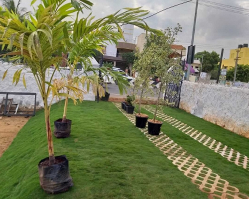 Online Plant Nursery in Chennai
